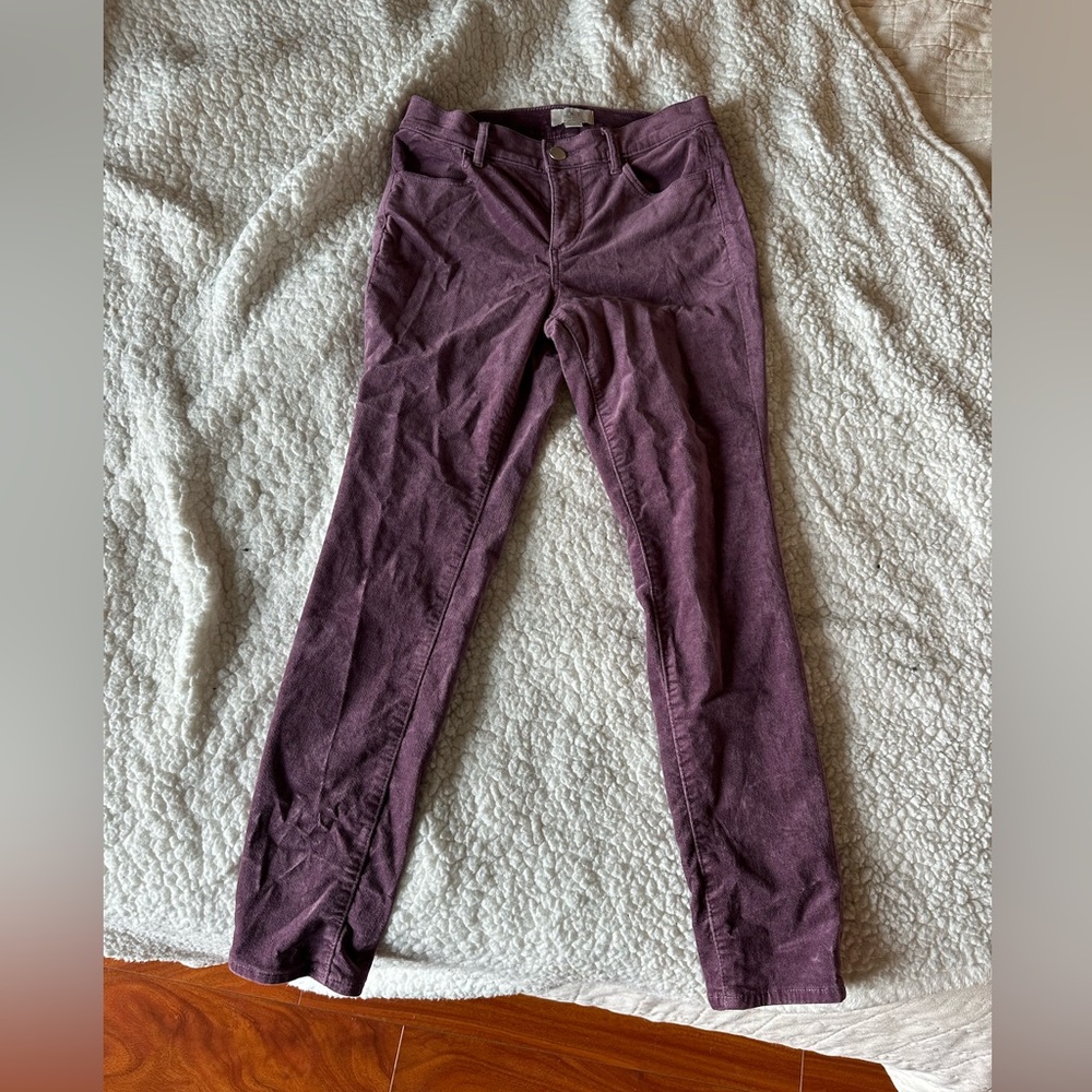 Ann Taylor Loft Modern Skinny Velvet Purple Pants
